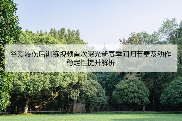 谷爱凌伤后训练视频首次曝光新赛季回归节奏及动作稳定性提升解析