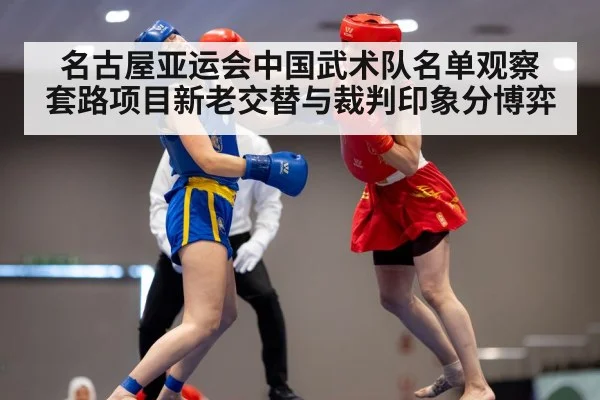 名古屋亚运会中国武术队名单观察 套路项目新老交替与裁判印象分博弈