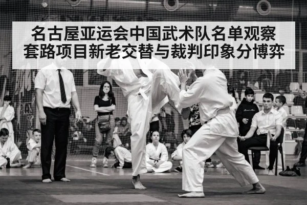 martial arts competition judges